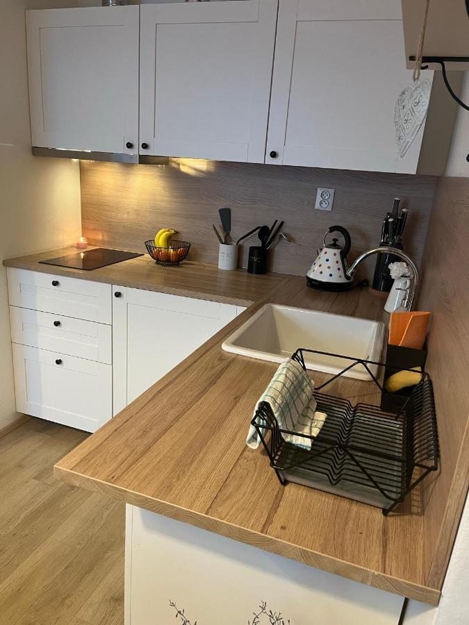 Utulny Apartman Na Dolni Morave Dolní Morava Extérieur photo